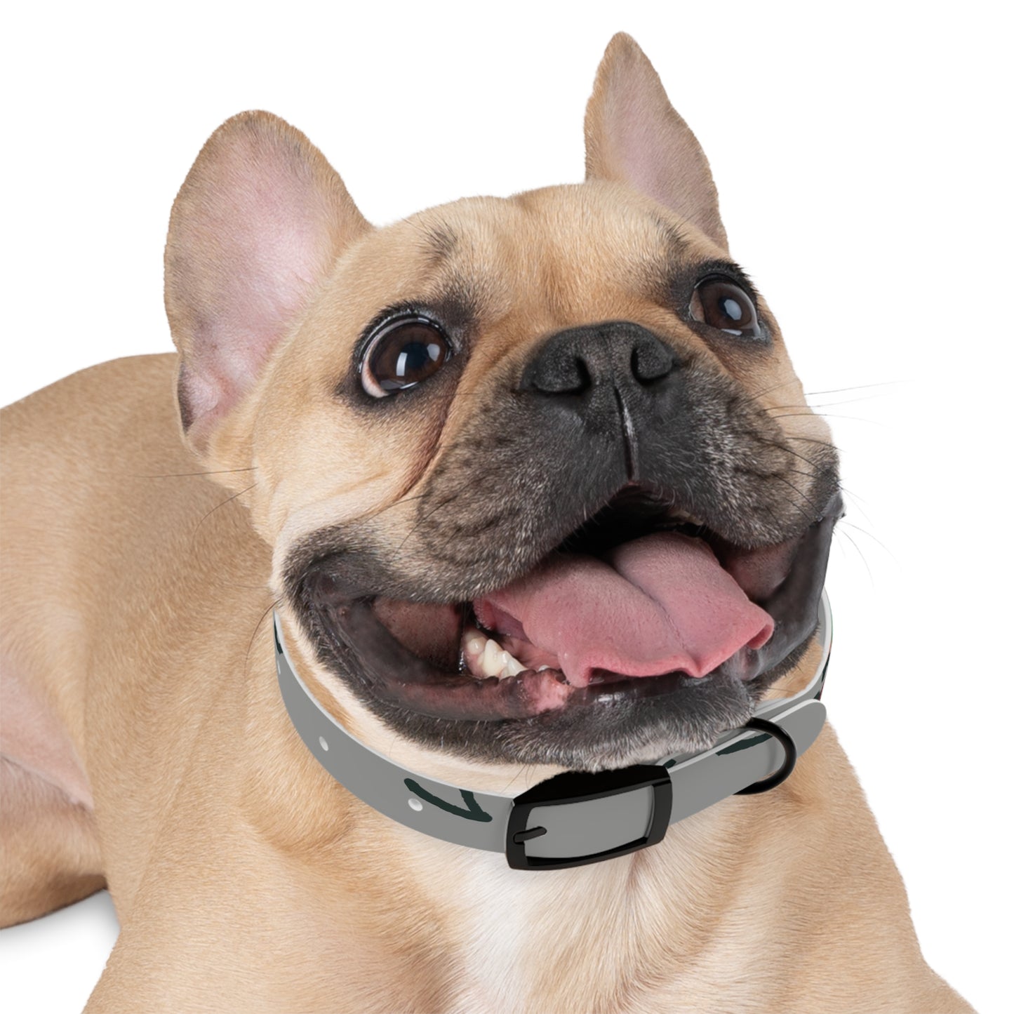 Stylish Dog Collar with Colorful Design, Pet Accessory, Adjustable Pet Collar, Dog Fashion, Unique Dog Gift