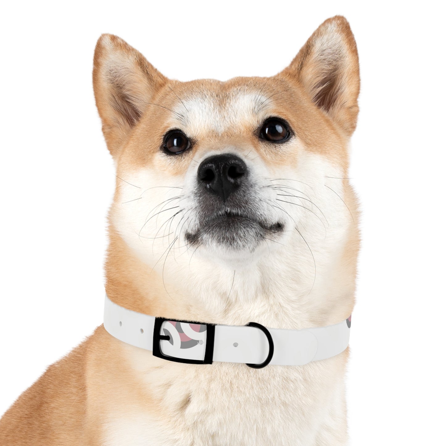 Stylish Dog Collar, Pet Accessory, Personalized Dog Gear, Everyday Use, Gift for Dog Lovers, Trendy Pet Fashion
