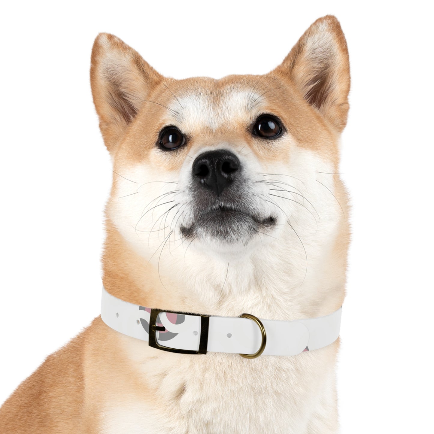Stylish Dog Collar, Pet Accessory, Personalized Dog Gear, Everyday Use, Gift for Dog Lovers, Trendy Pet Fashion