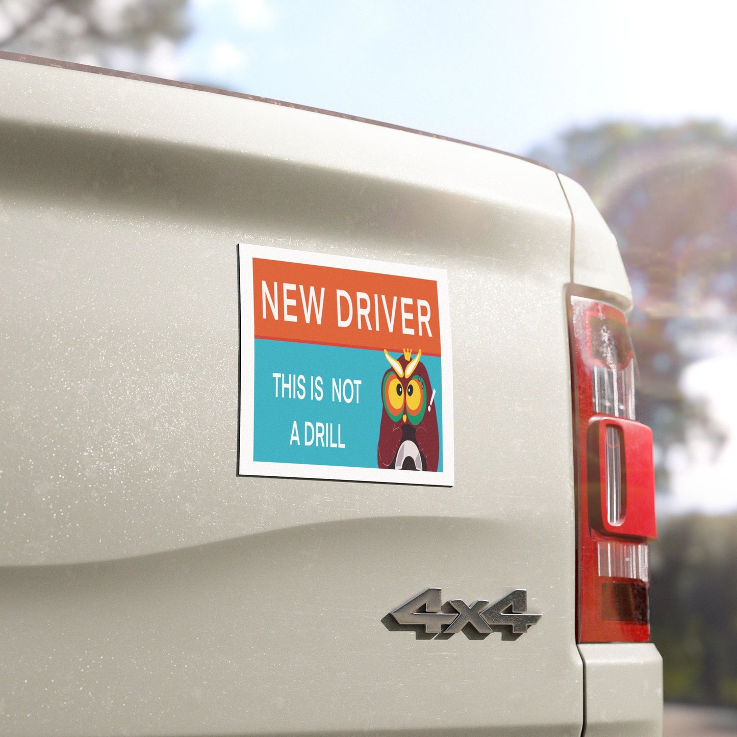 New Driver Car Magnet, Fun Owl Design, Safe Driving Reminder, New Driver Gift, Car Decor for Teens
