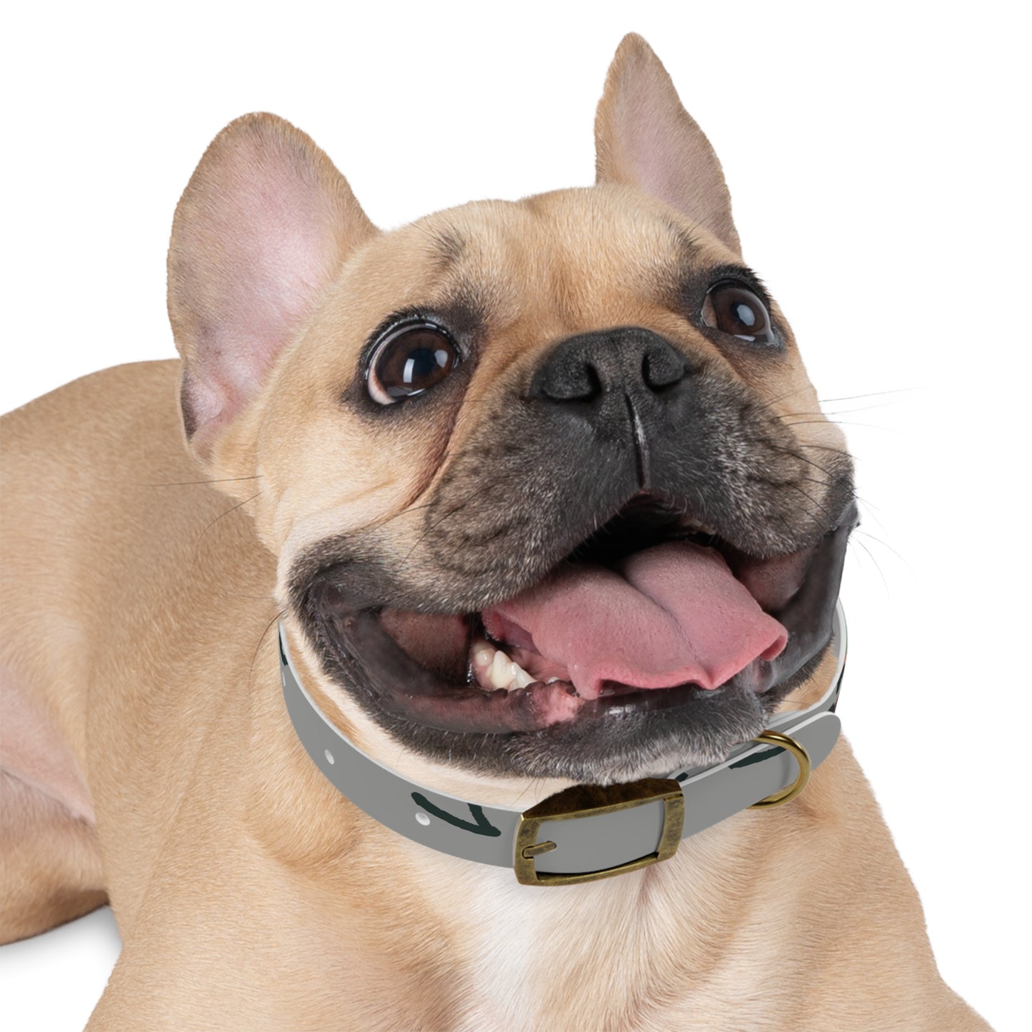 Stylish Dog Collar with Colorful Design, Pet Accessory, Adjustable Pet Collar, Dog Fashion, Unique Dog Gift