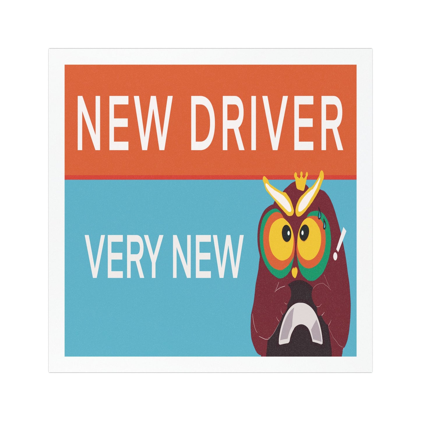 New Driver Car Magnet, Funny New Driver Sign, Driver Safety Magnet, Gift for New Drivers, Car Accessories