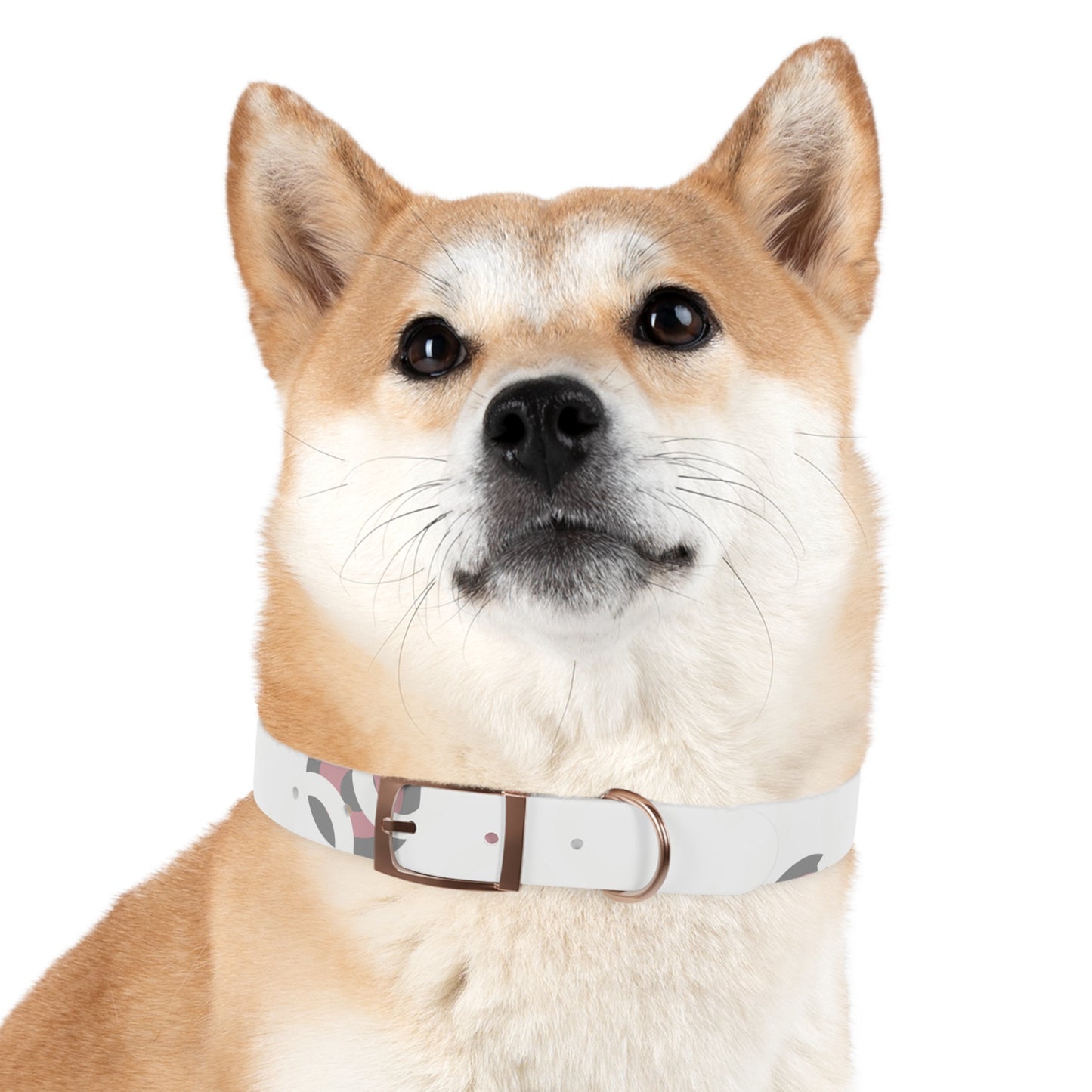 Stylish Dog Collar, Pet Accessory, Personalized Dog Gear, Everyday Use, Gift for Dog Lovers, Trendy Pet Fashion