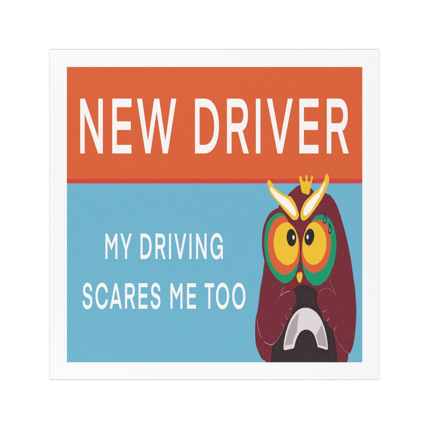 New Driver Car Magnet – Fun Driving Humor, Gift for New Drivers, Car Decor, Vehicle Safety, Motivational Driving Sign