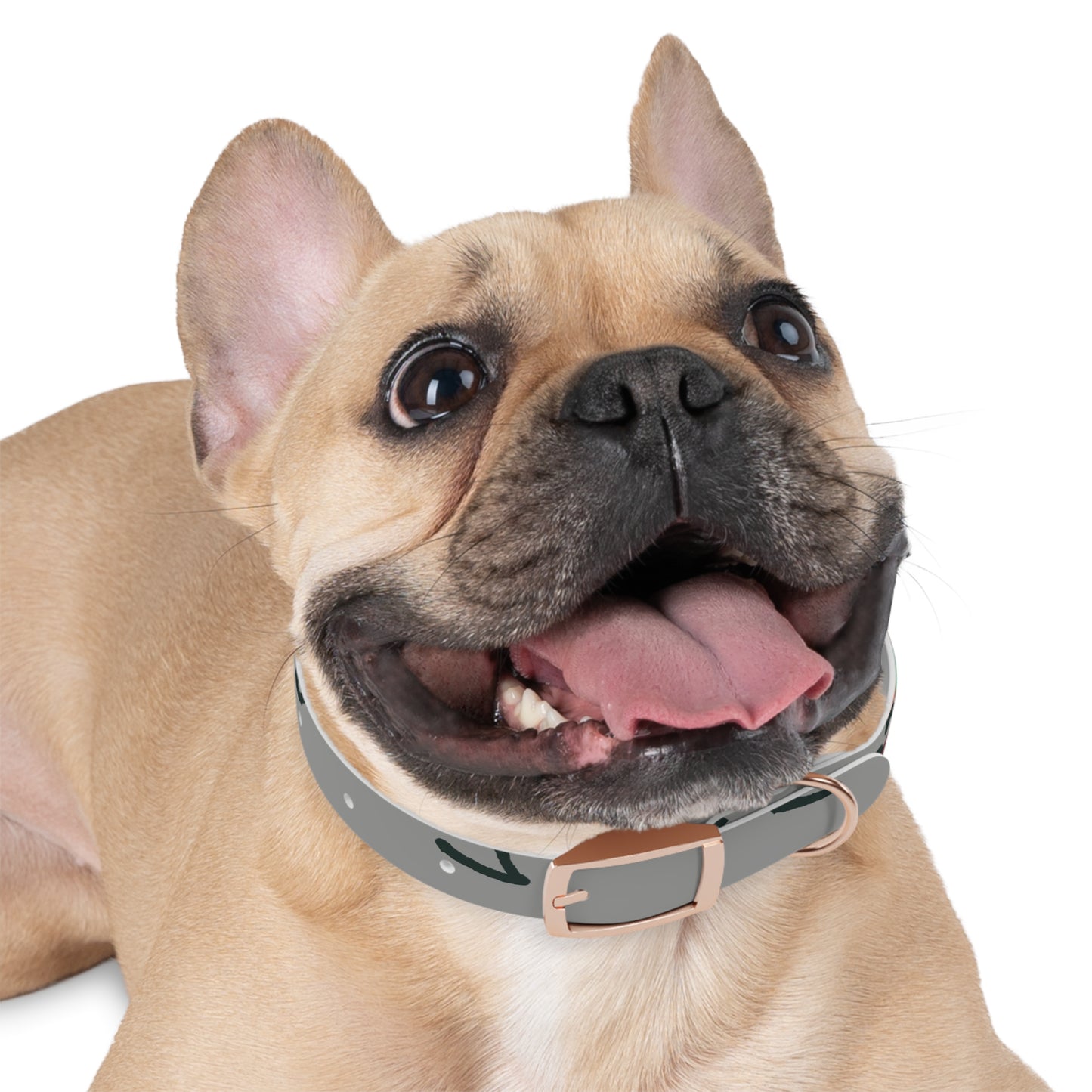 Stylish Dog Collar with Colorful Design, Pet Accessory, Adjustable Pet Collar, Dog Fashion, Unique Dog Gift