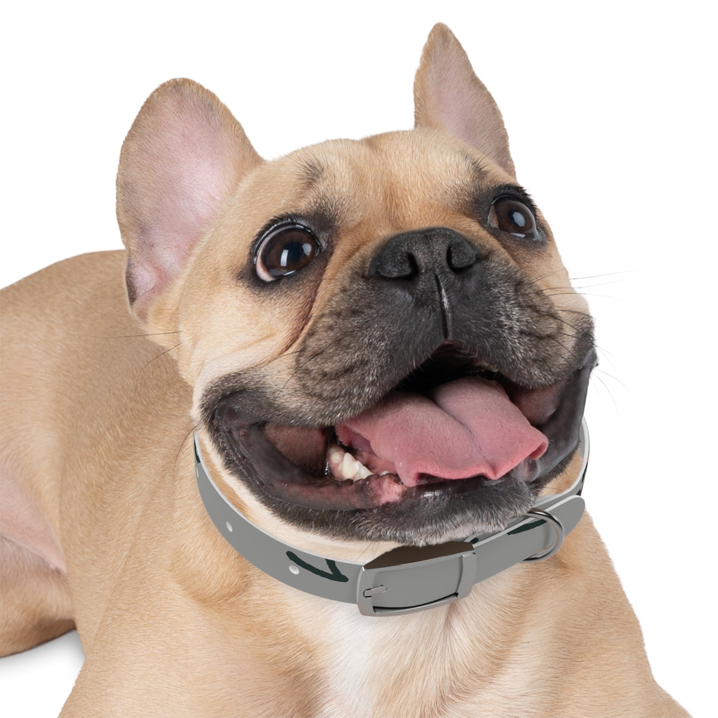 Stylish Dog Collar with Colorful Design, Pet Accessory, Adjustable Pet Collar, Dog Fashion, Unique Dog Gift