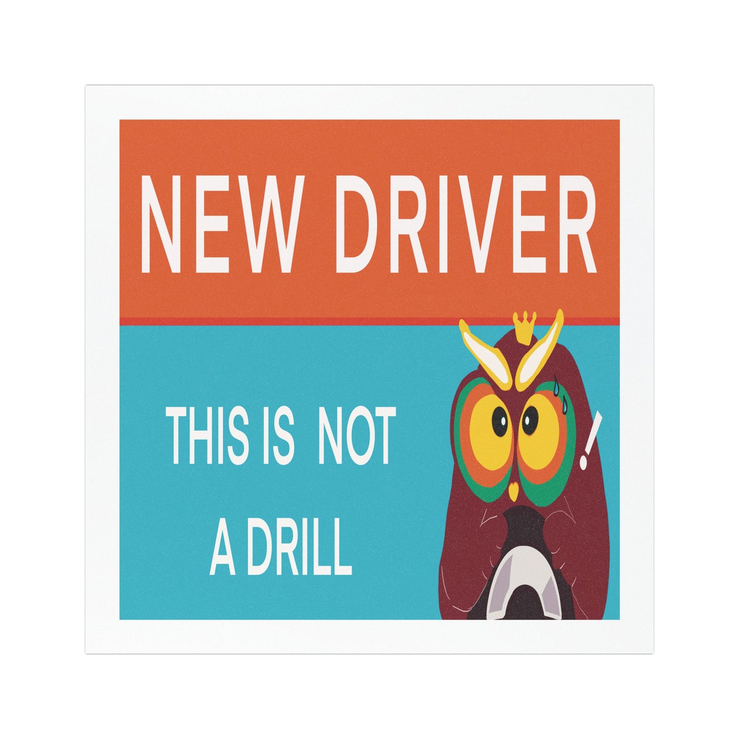 New Driver Car Magnet, Fun Owl Design, Safe Driving Reminder, New Driver Gift, Car Decor for Teens