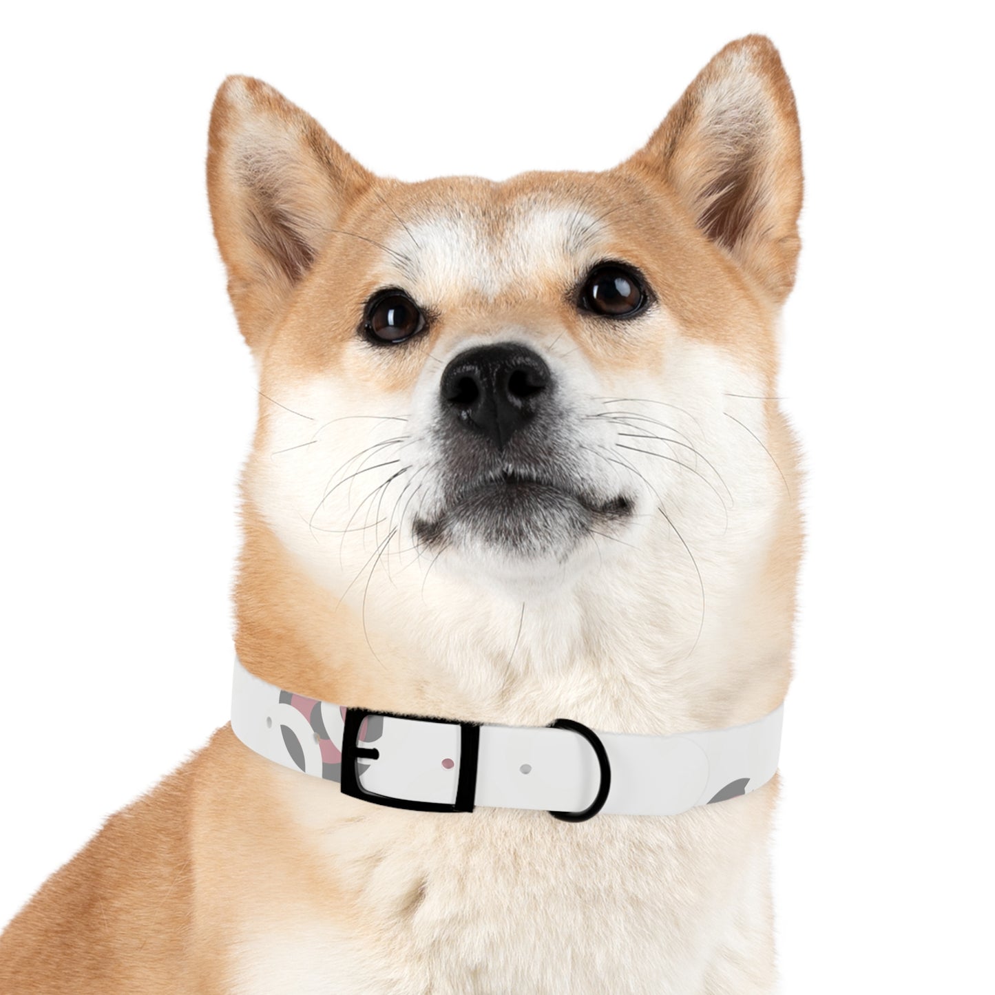 Stylish Dog Collar, Pet Accessory, Personalized Dog Gear, Everyday Use, Gift for Dog Lovers, Trendy Pet Fashion