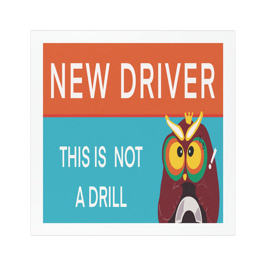 New Driver Car Magnet, Fun Owl Design, Safe Driving Reminder, New Driver Gift, Car Decor for Teens