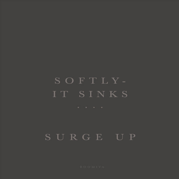 Series 2 | A Sudden Surge
