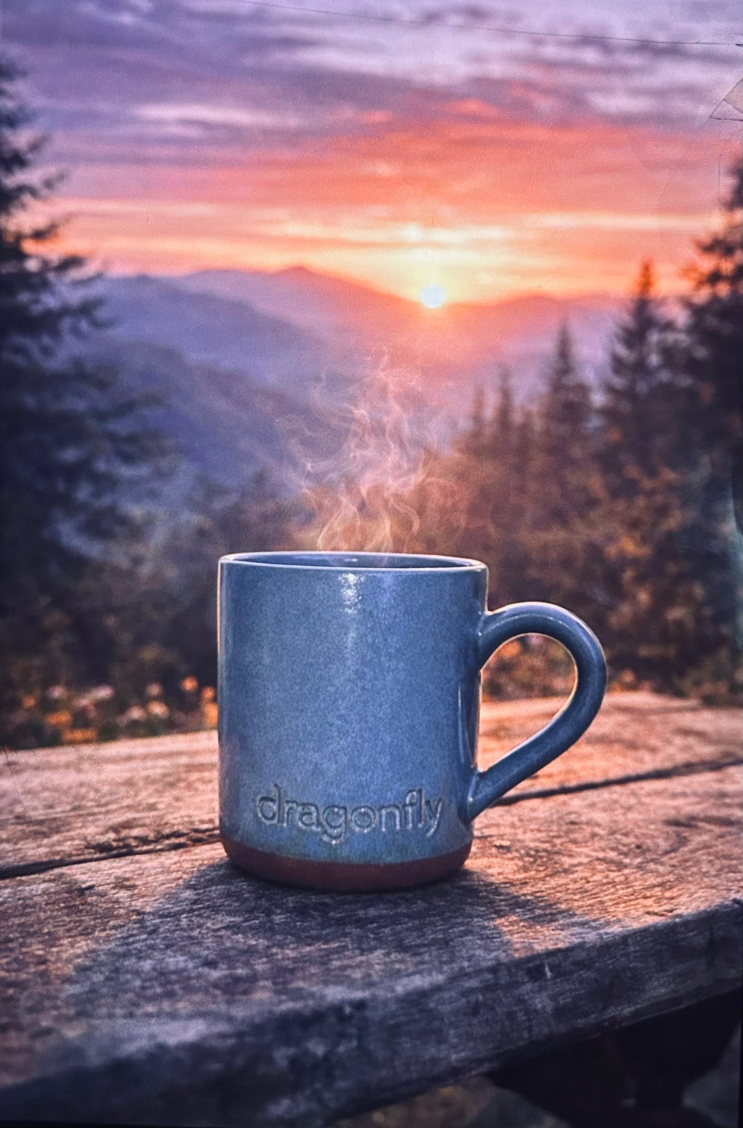 Dragonfly Mug