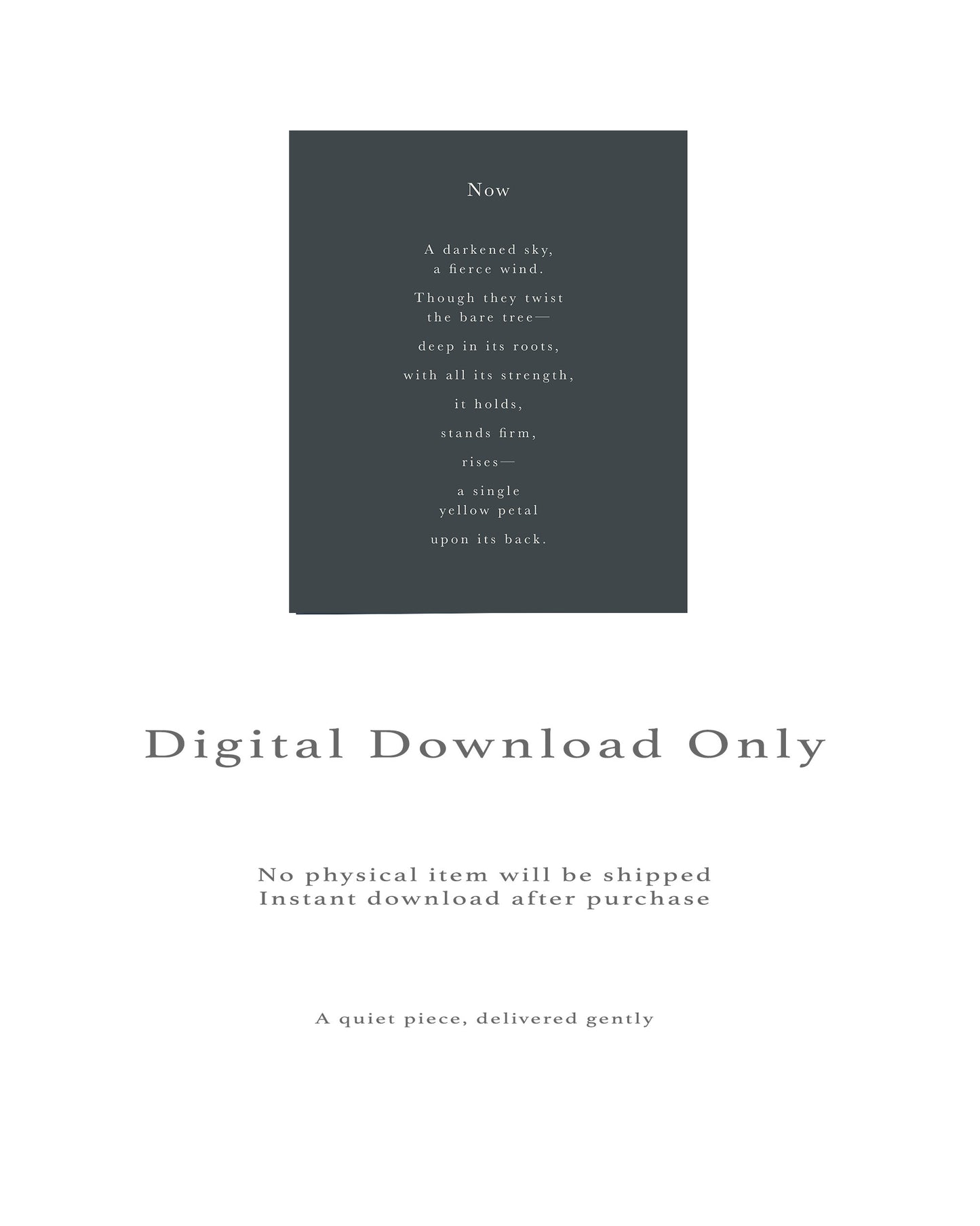 Now | Series 4 | Minimal Poetry Poster | Digital Download